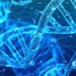 Viaggio fantastico dal Dna alle proteine