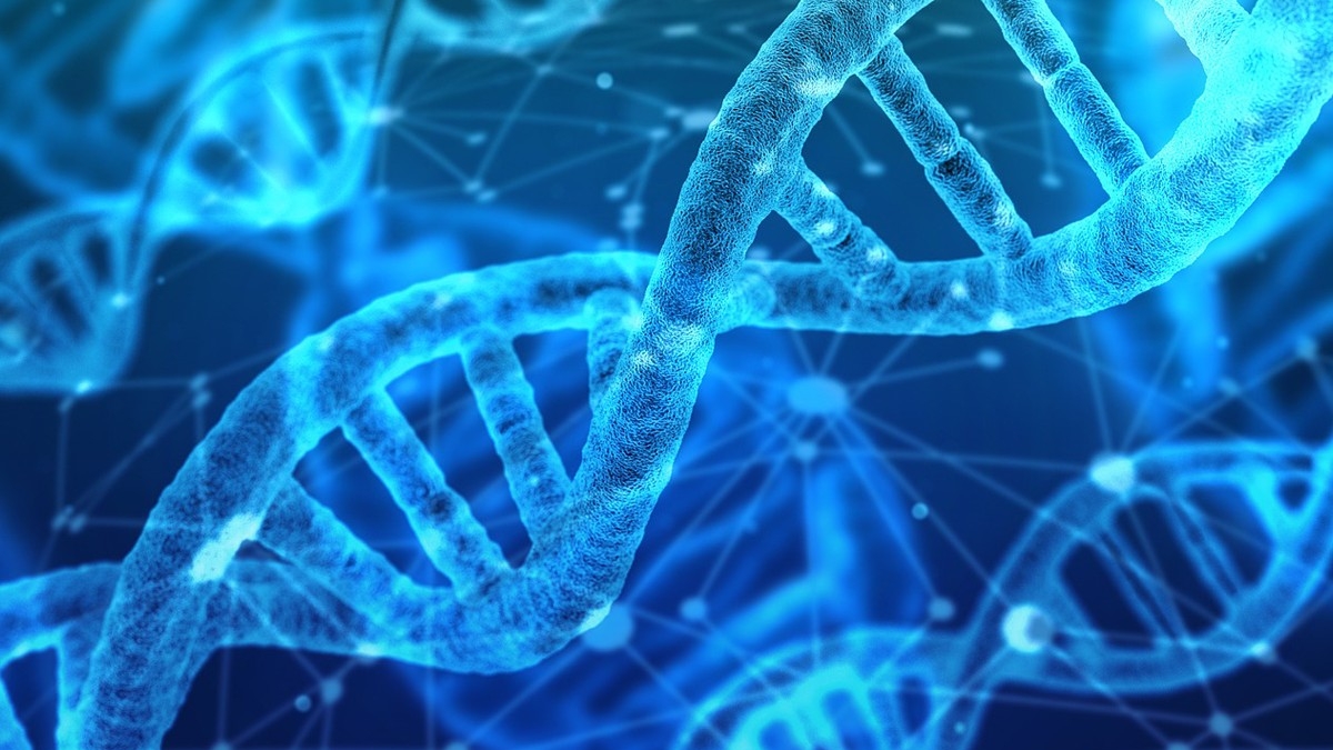 Viaggio fantastico dal Dna alle proteine