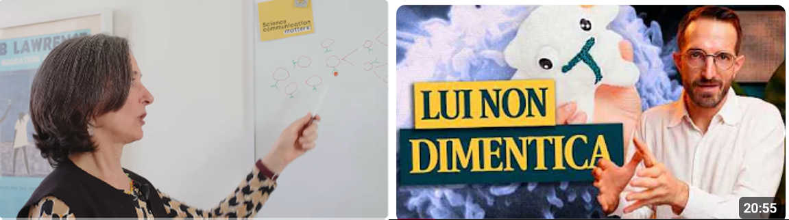 Come funziona davvero la memoria immunitaria? E perché i vaccini servono?